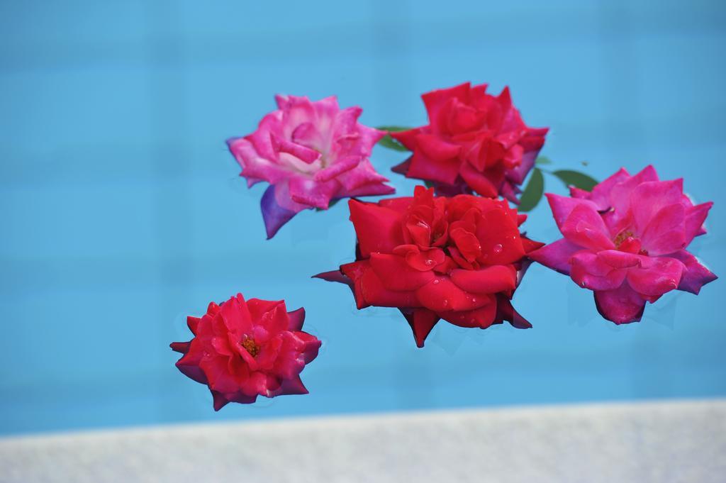 Hotel Marina Kolios Dış mekan fotoğraf